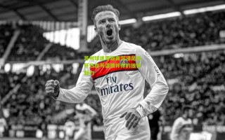 苏州球迷零距离沉浸足协杯热血与温情并存的独特魅力