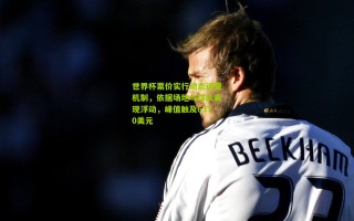 世界杯票价实行动态调整机制，依据场地与球队表现浮动，峰值触及6370美元