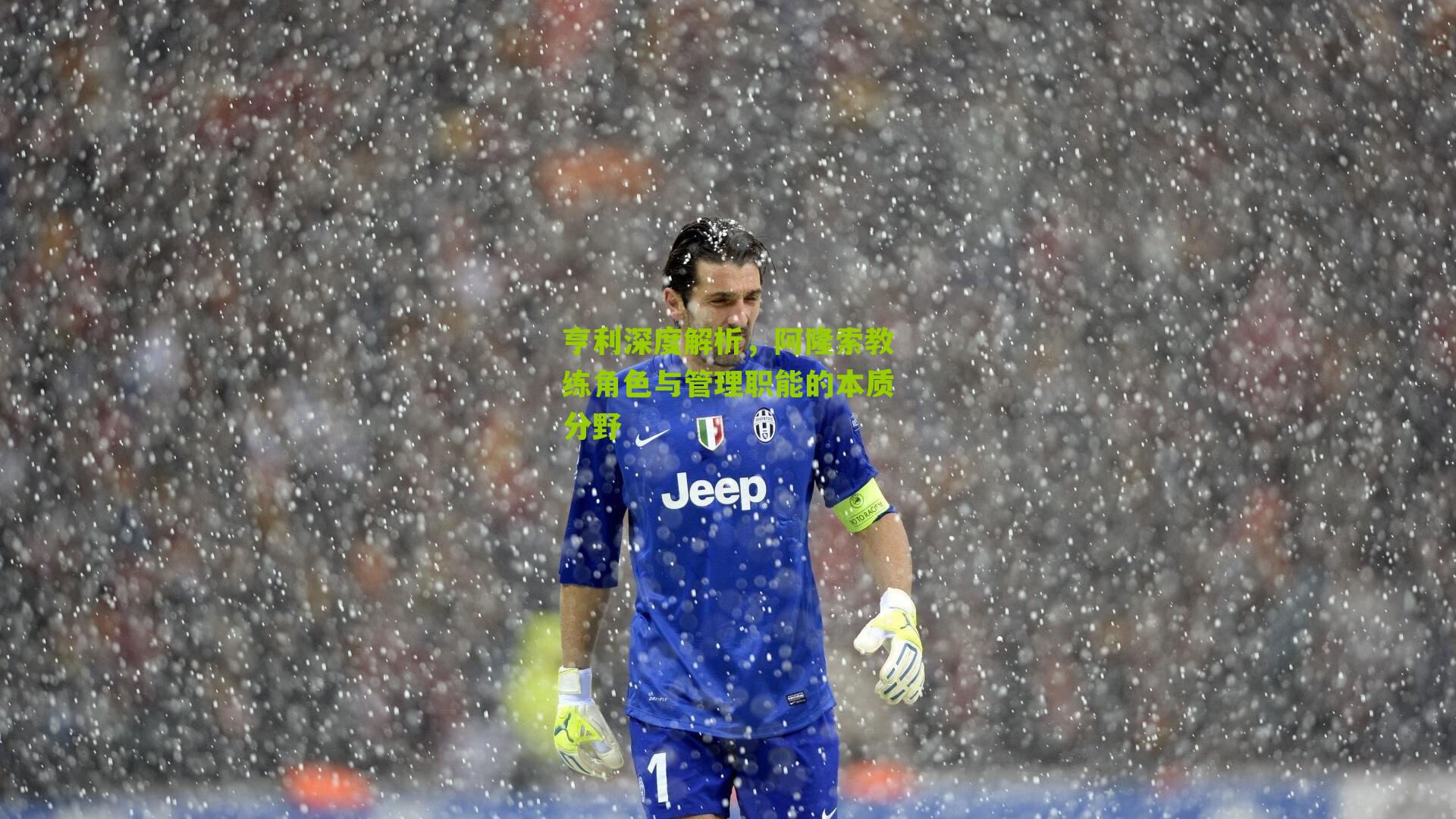 亨利深度解析，阿隆索教练角色与管理职能的本质分野-第2张图片-开云官网首页-足球篮球直播平台