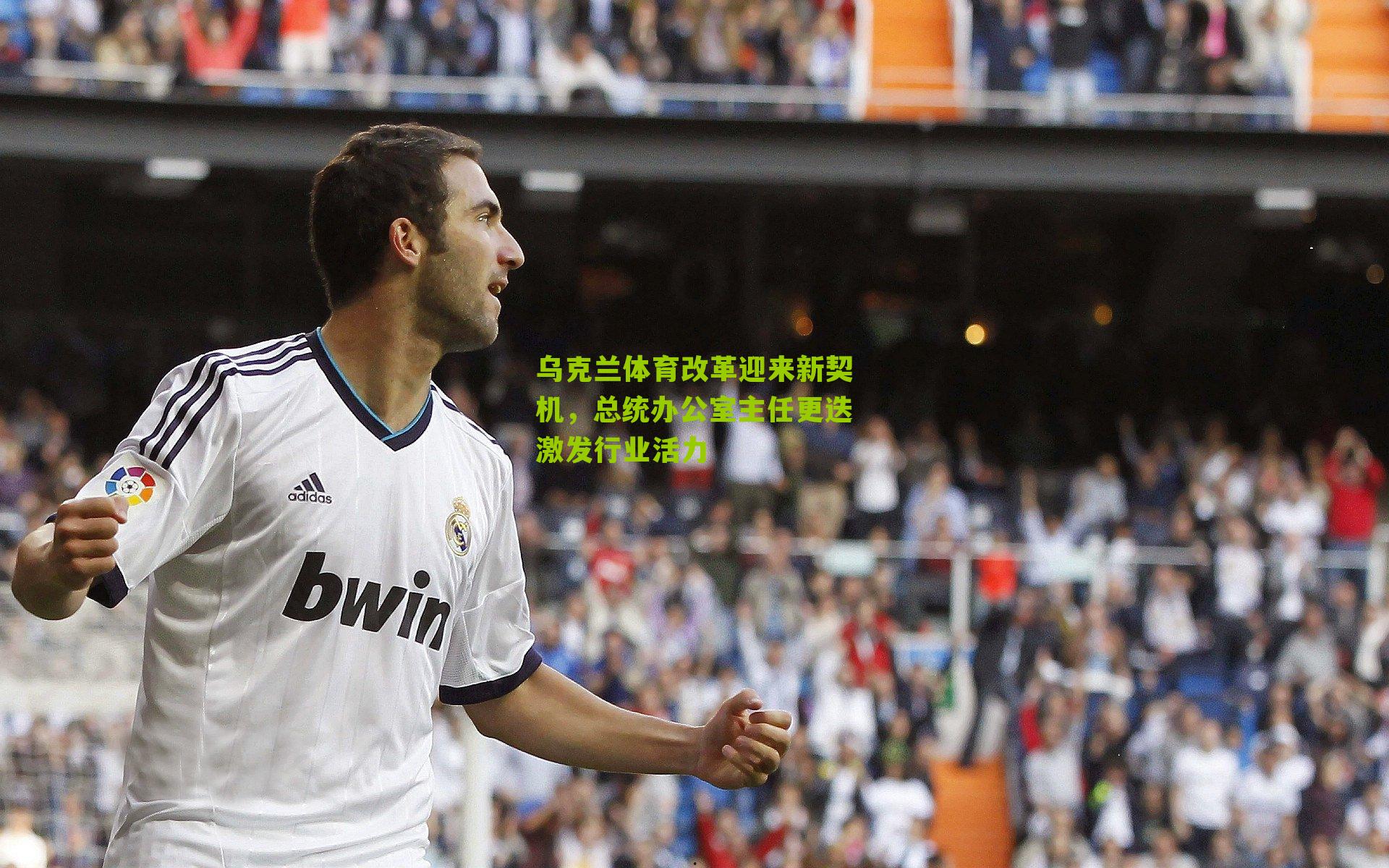 乌克兰体育改革迎来新契机，总统办公室主任更迭激发行业活力-第2张图片-开云官网首页-足球篮球直播平台