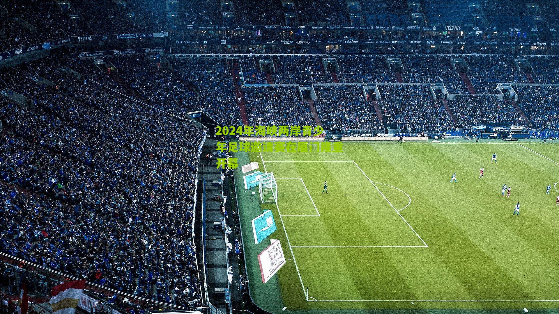 2024年海峡两岸青少年足球邀请赛在厦门隆重开幕-第3张图片-开云官网首页-足球篮球直播平台